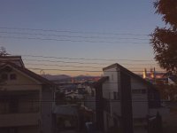 DSC08567X