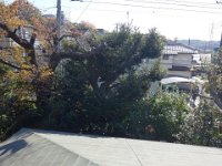 DSC08575