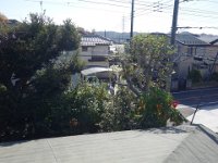 DSC08576