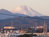 RIMG0795