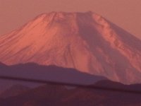 RIMG0797X