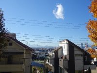 DSC08594