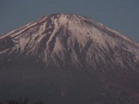 RIMG0833
