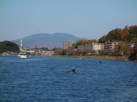 DSC08663