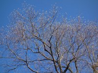 DSC08666