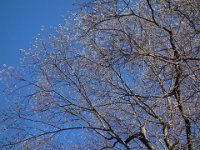 DSC08726