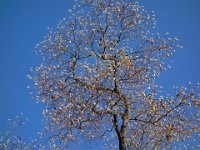 DSC08728