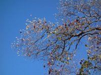 DSC08729