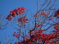DSC08730