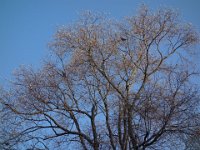 DSC08775