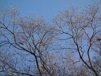 DSC08777