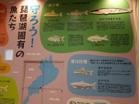 DSC08987