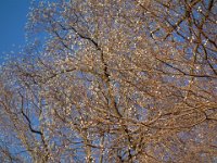 DSC09118
