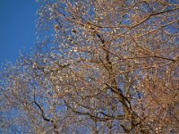 DSC09119
