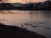 RIMG0927