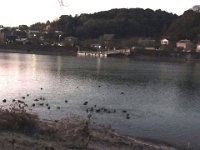 RIMG0928X