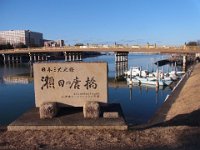 RIMG0943