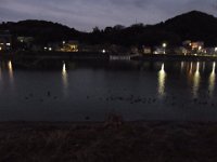 RIMG0003