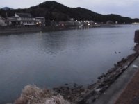 RIMG0014