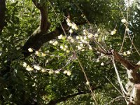 RIMG0958