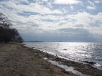 DSC09263
