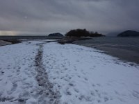 DSC09305