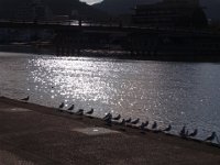 RIMG1478
