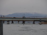 RIMG2263
