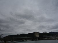 DSC09367
