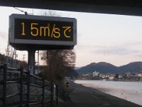 RIMG2537