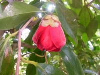 RIMG2567