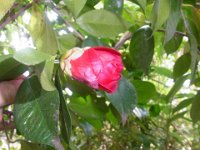 RIMG2569