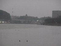 RIMG2578