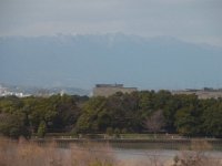 RIMG2633