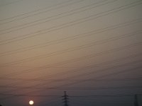 DSC09393