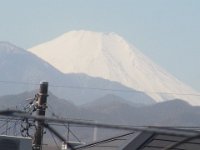 RIMG2782