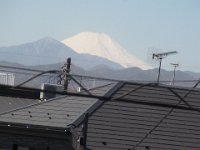 RIMG2783