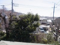 RIMG2803