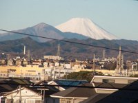 RIMG2842