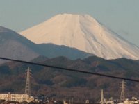 RIMG2845