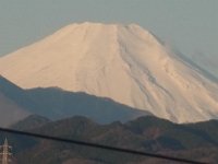 RIMG2846