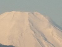 RIMG2847