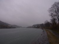 RIMG2941