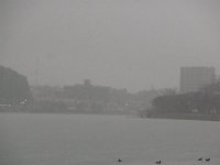 RIMG2943