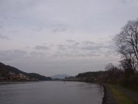 RIMG3330