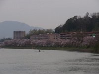 RIMG3333