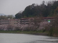 RIMG3334