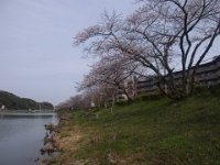 RIMG3356