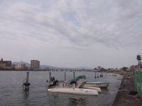 RIMG3367