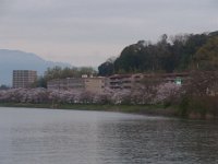 RIMG3377